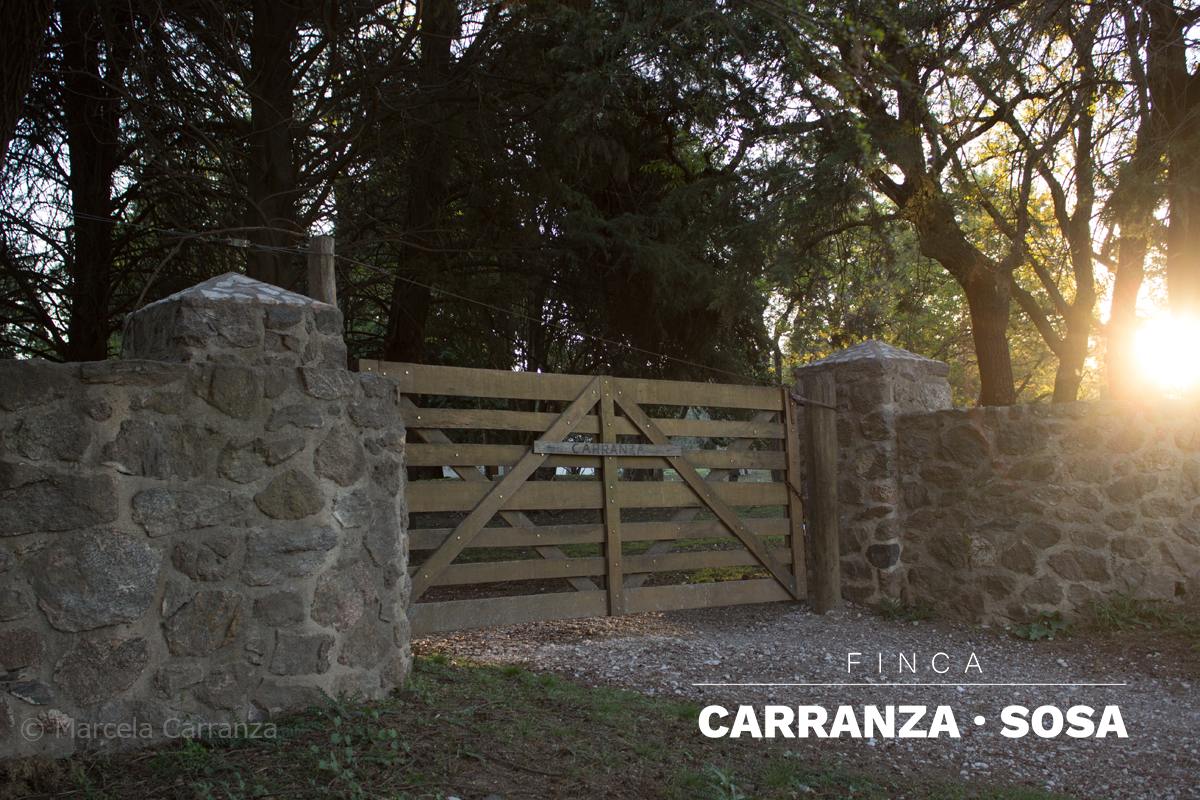 Entrada de Finca Carranza Sosa rodeada de arboles