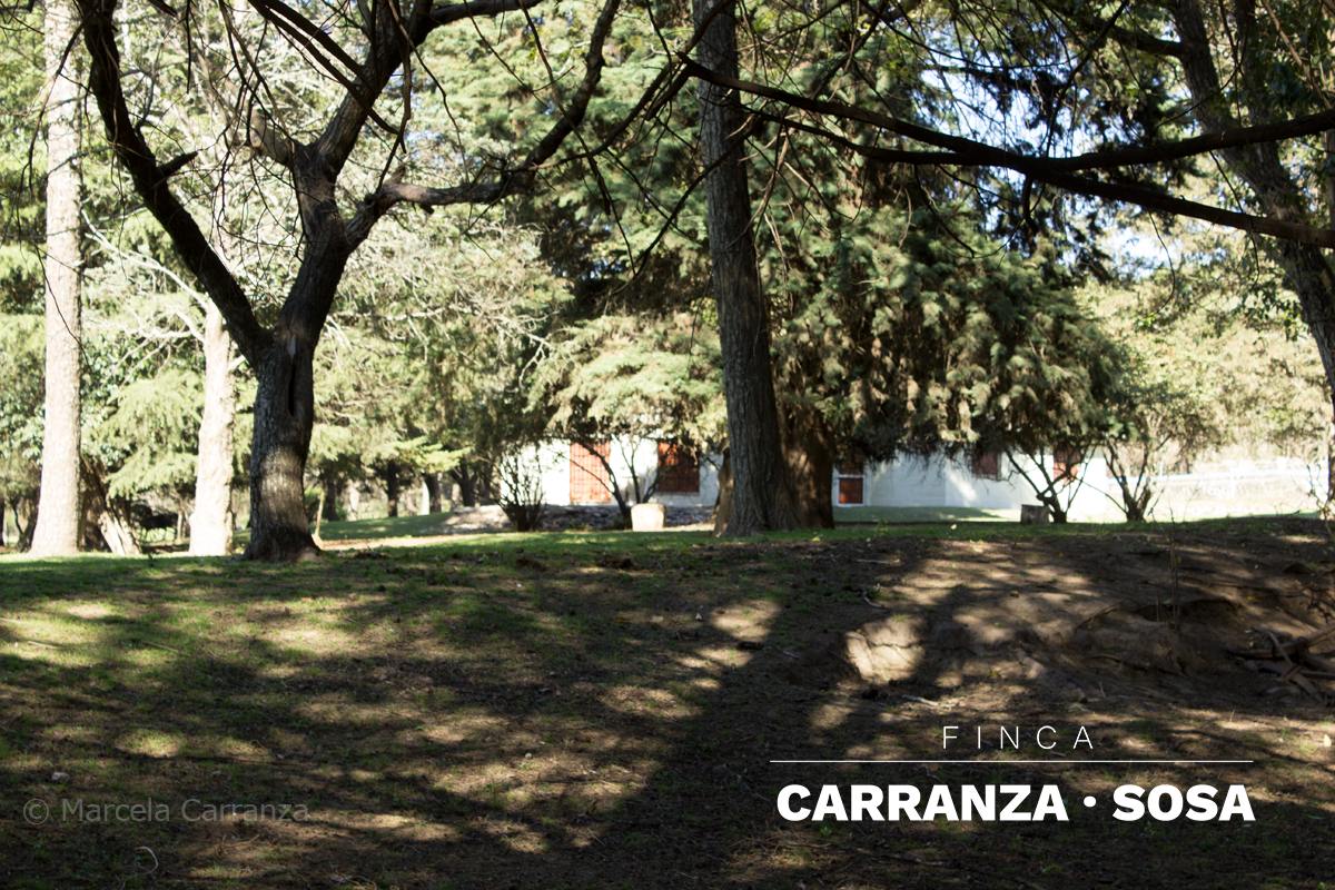 Entorno de la finca