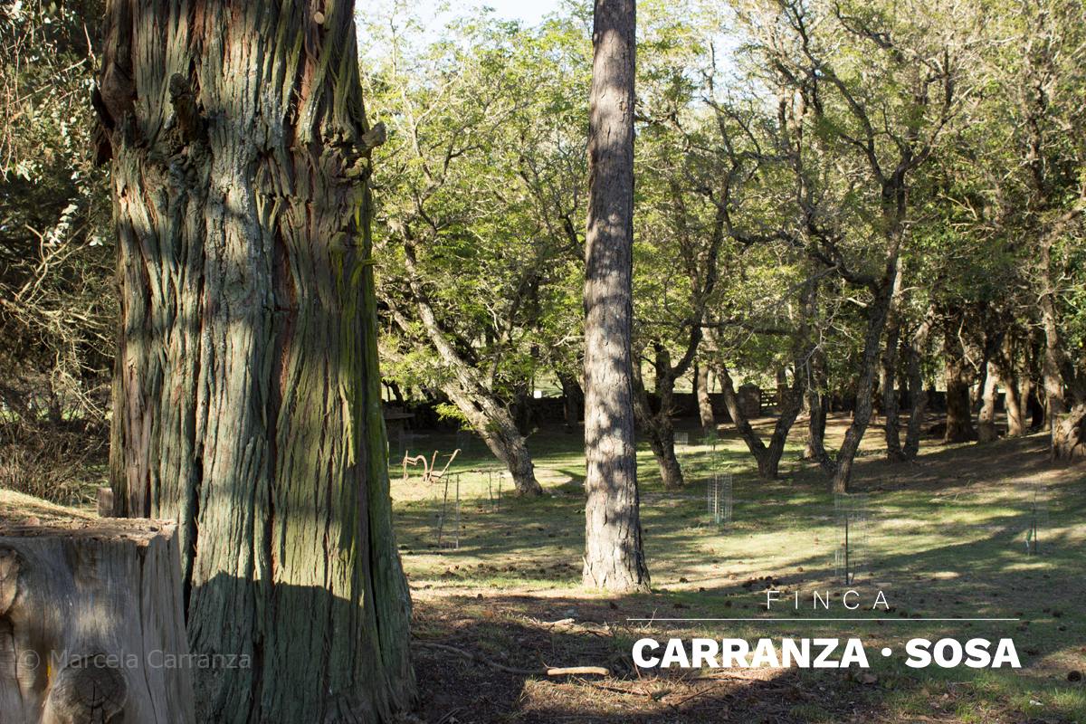 Caminatas
