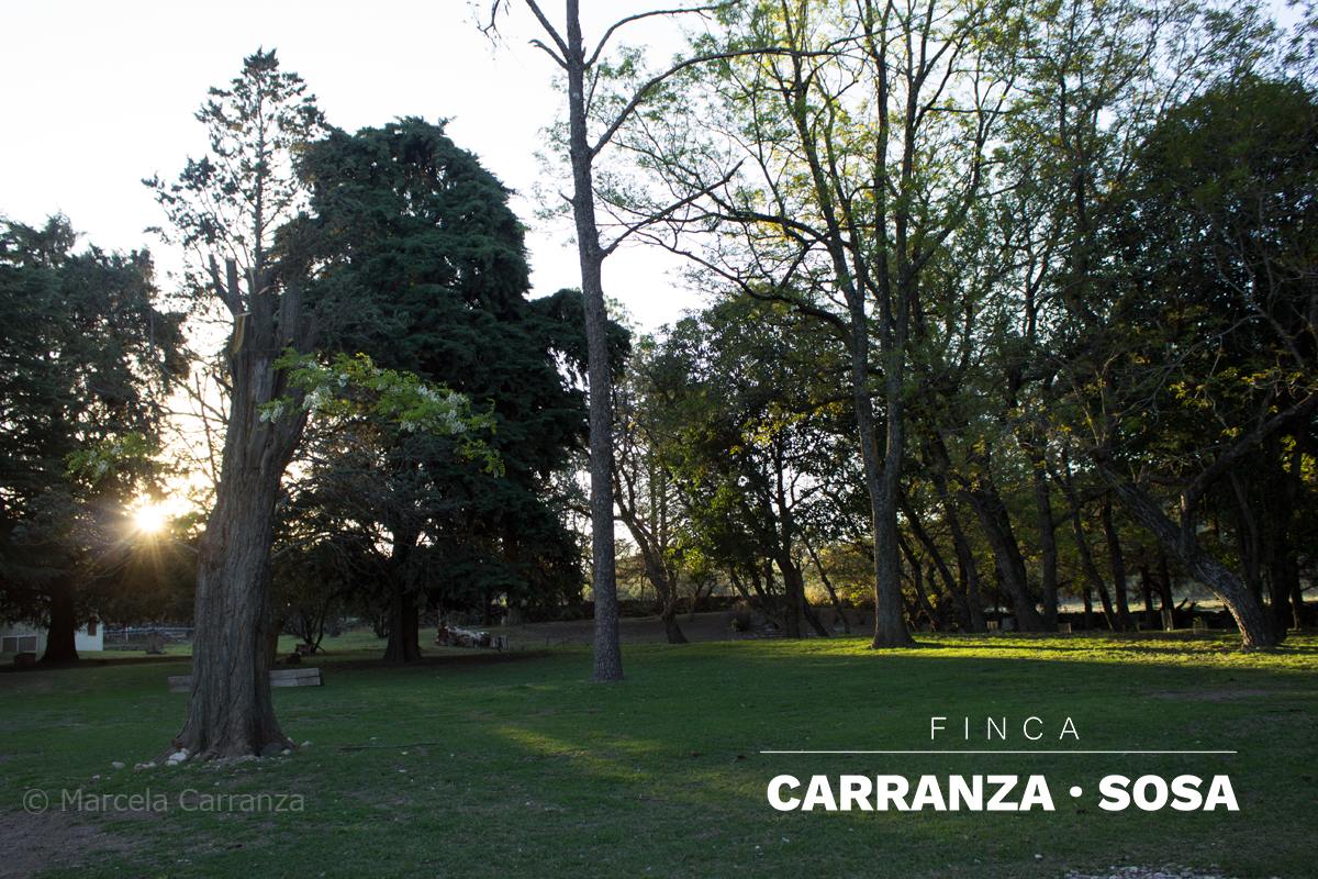 Parque
